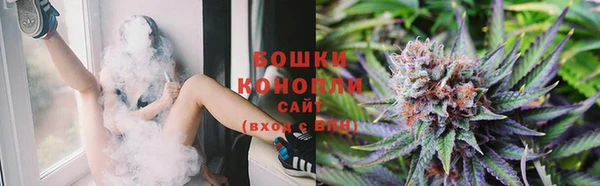 тгк Володарск