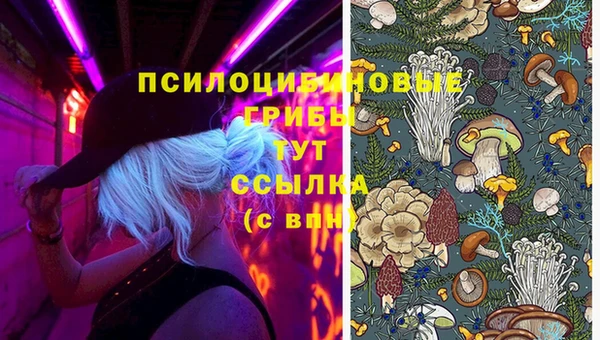 тгк Володарск