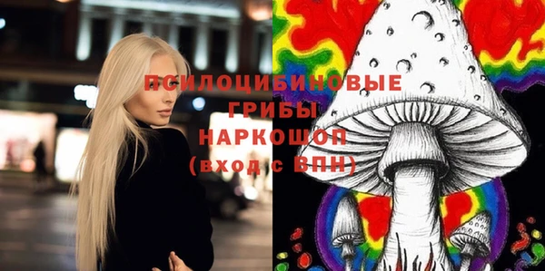 тгк Володарск