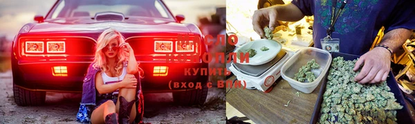 тгк Володарск