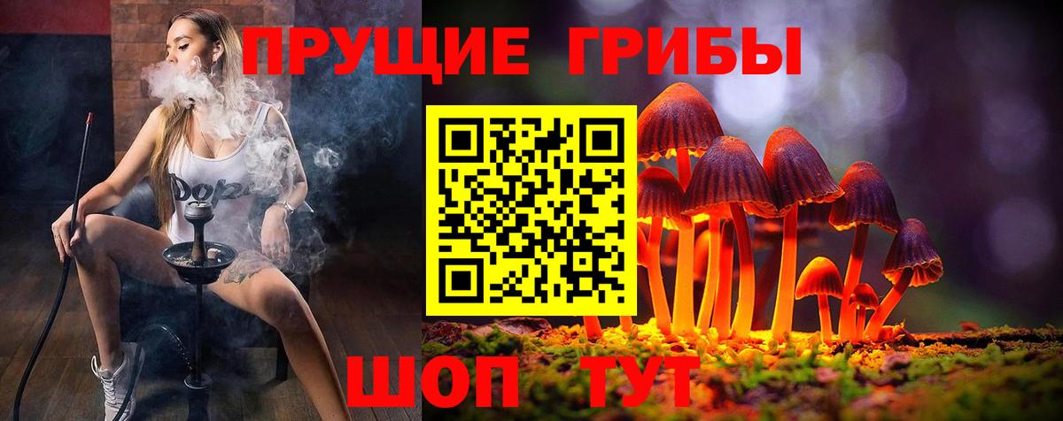 Назарово  Галлюциногенные грибы Psilocybe  Галлюциногенные грибы ЛСД  Вход с VPN 